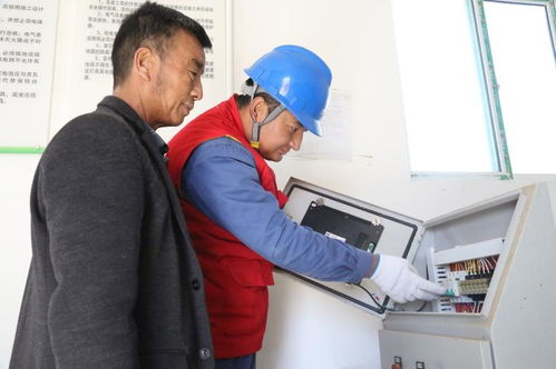 國網青海海西供電 電力網格化服務讓高原有機農產品吃上 定制營養餐