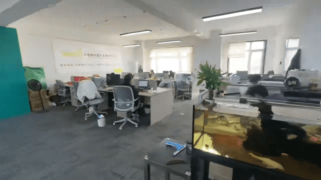 專業(yè)服務(wù)，家的港灣 大連鯨嶼家政服務(wù)引領(lǐng)品質(zhì)生活新風尚